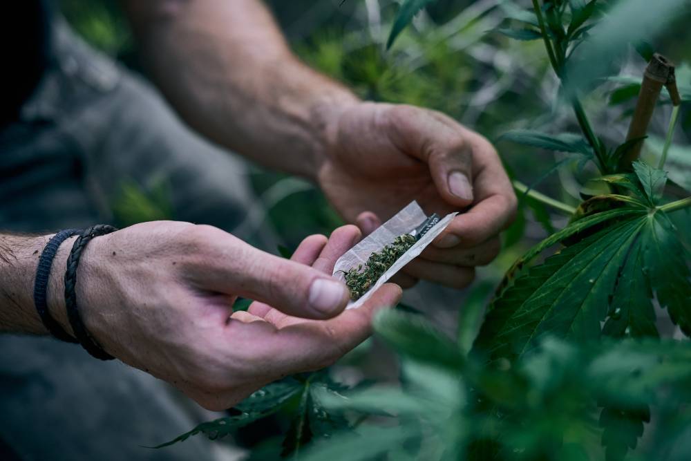 Фото 2 man-rolling-marijuana-joint-near-cannabis-plant.jpg Фото 2 man-rolling-marijuana-joint-near-cannabis-plant.jpg